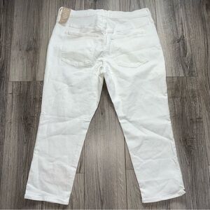 Madewell The Perfect Vintage Jean Crop Petite‎ size 33 NWT
